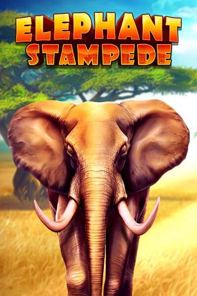Elephant Stampede